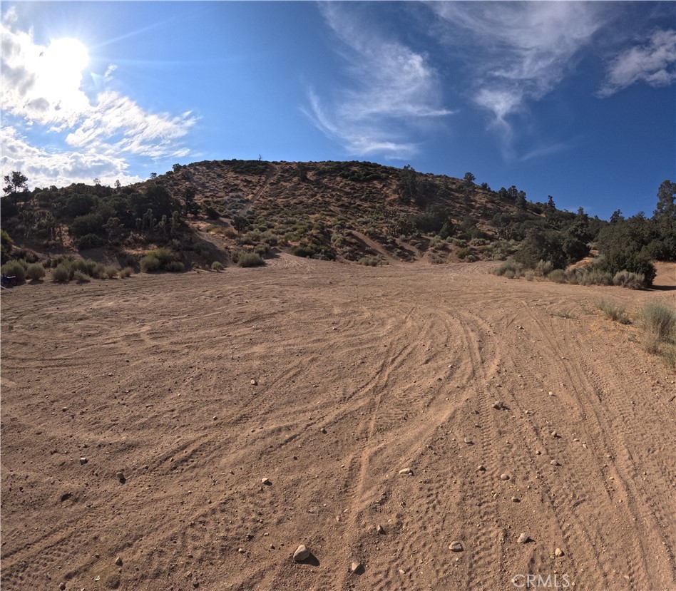 8243 Simson Property Photo 2