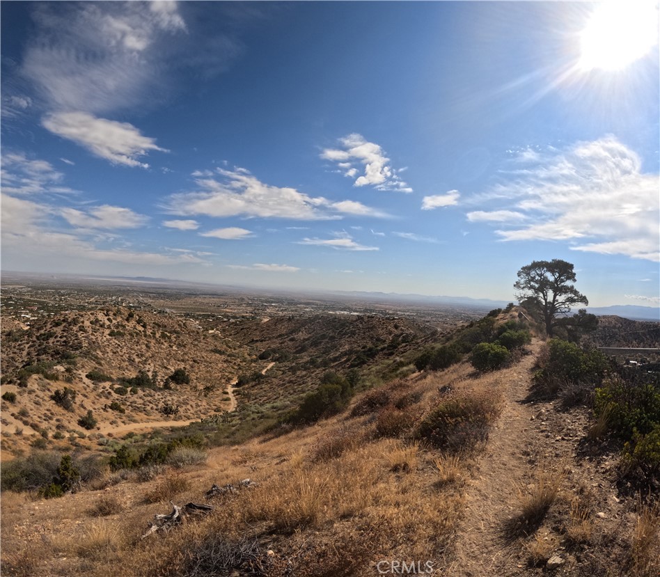 8243 Simson Property Photo 3