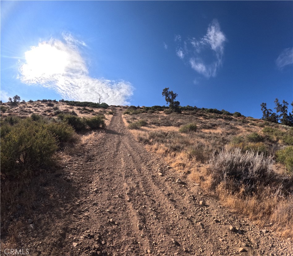 8243 Simson Property Photo 4