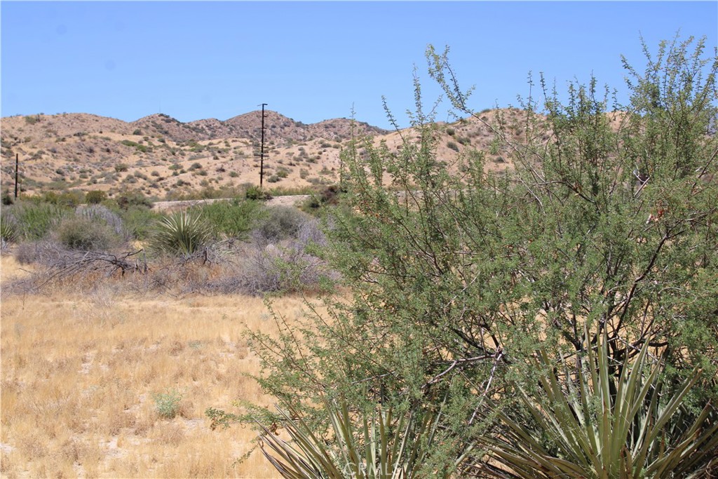 0 Pinon Avenue Property Photo 12