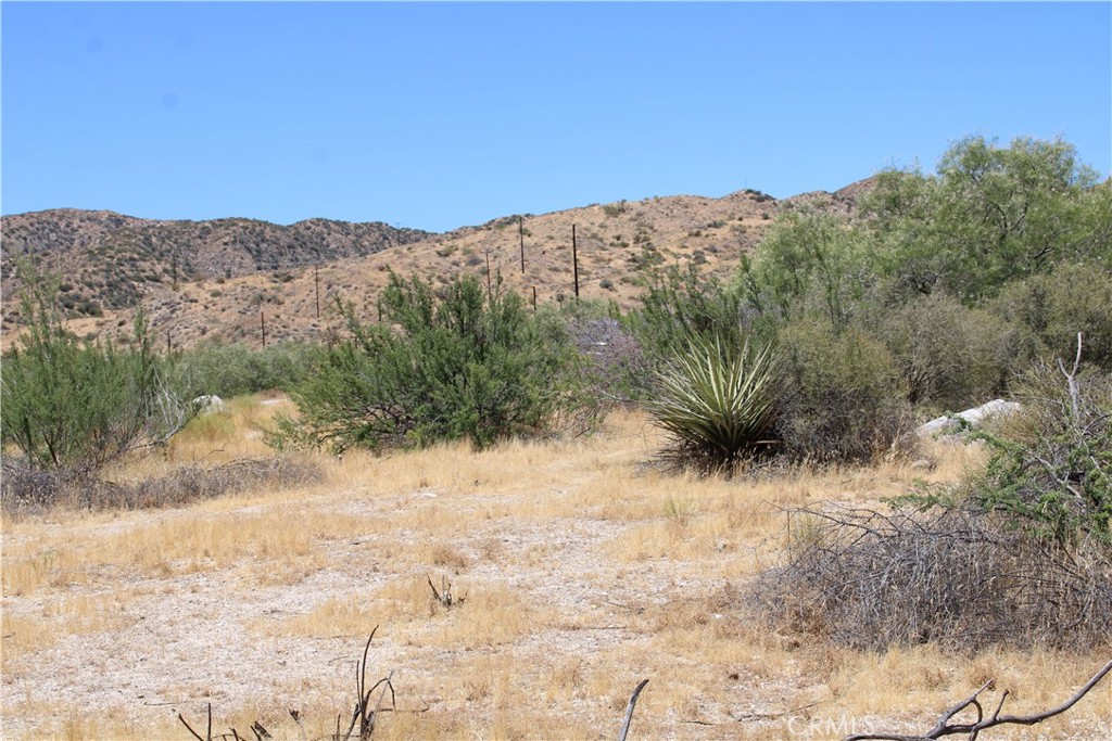 0 Pinon Avenue Property Photo 15