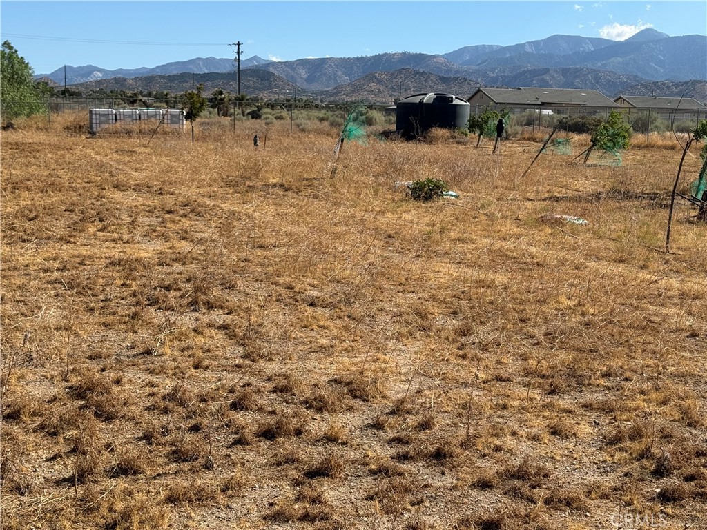 9934 Lager Property Photo 9