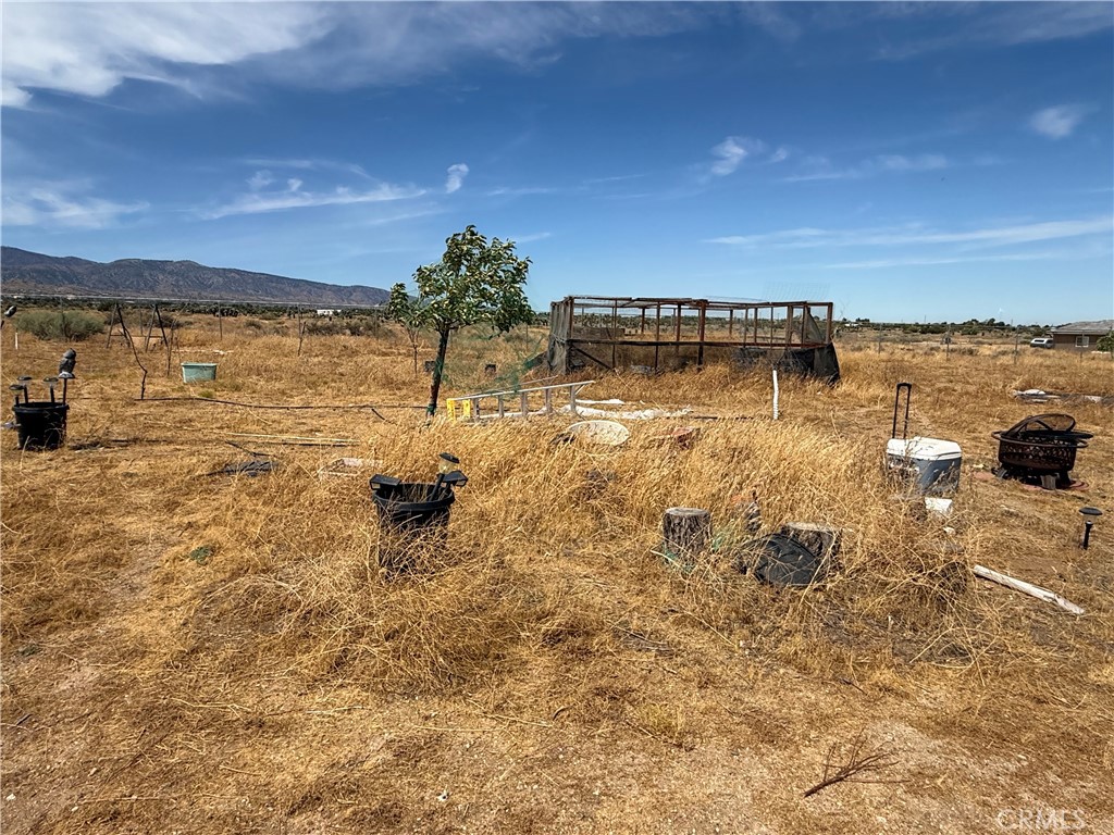 9934 Lager Property Photo 14