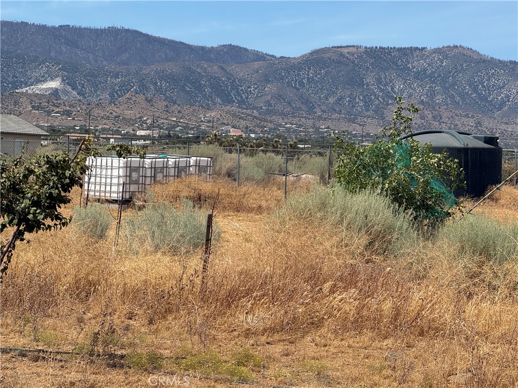 9934 Lager Property Photo 18