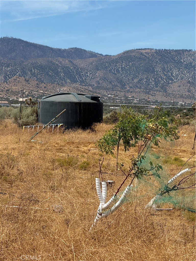 9934 Lager Property Photo 19