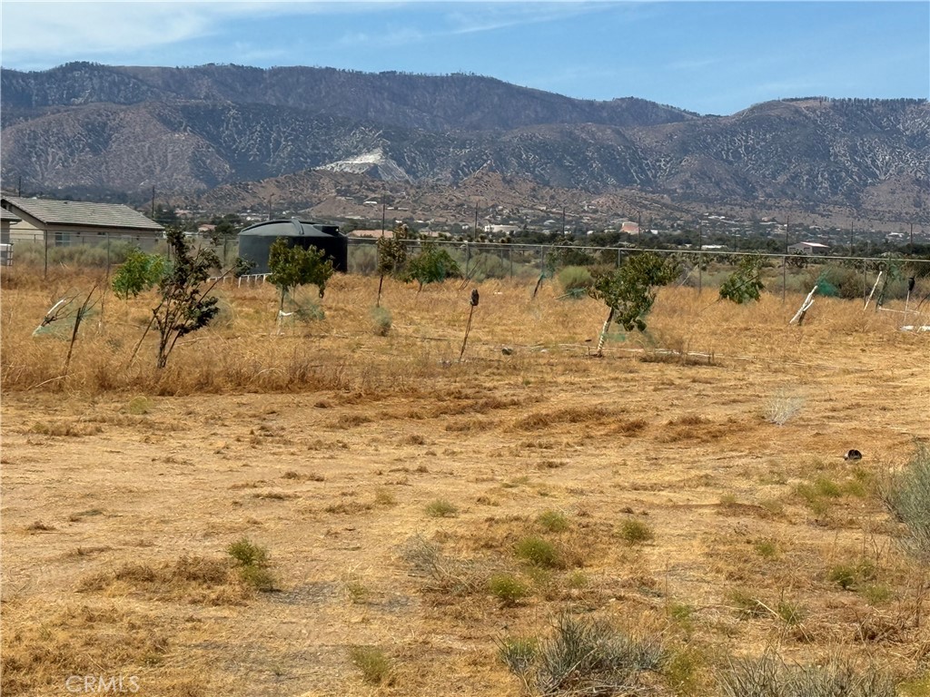 9934 Lager Property Photo 21