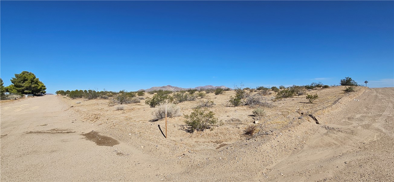 800 Mandrill St. Property Photo 1