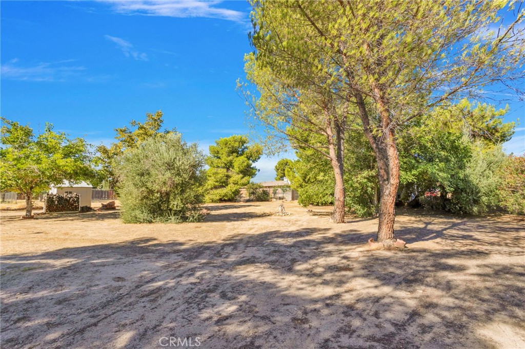 9018 Guava Property Photo 7