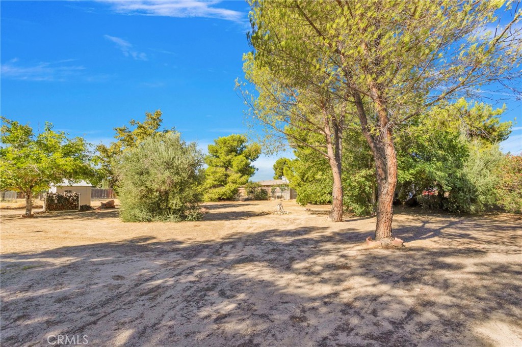 9018 Guava Property Photo 7