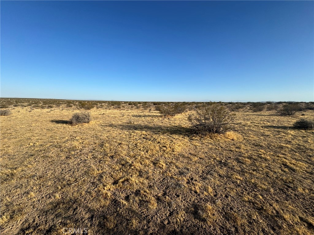 0 Vacant Land Property Photo 1