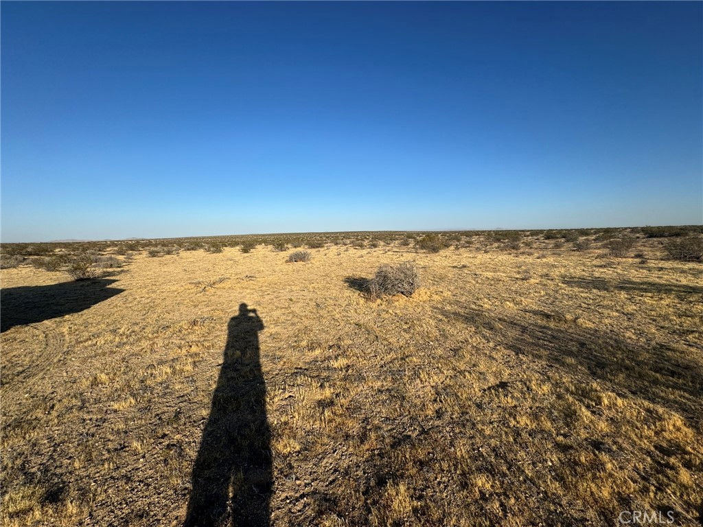0 Vacant Land Property Photo 2