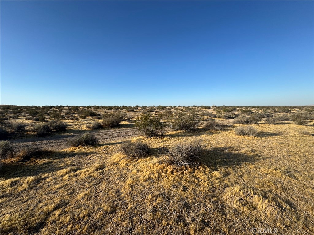 0 Vacant Land Property Photo 3