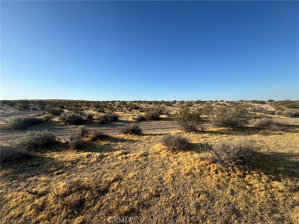 0 Vacant Land Property Photo 4