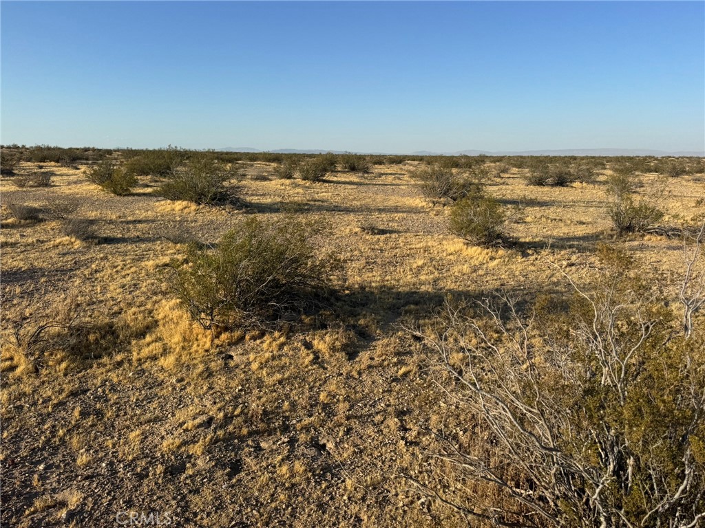 0 Vacant Land Property Photo 10