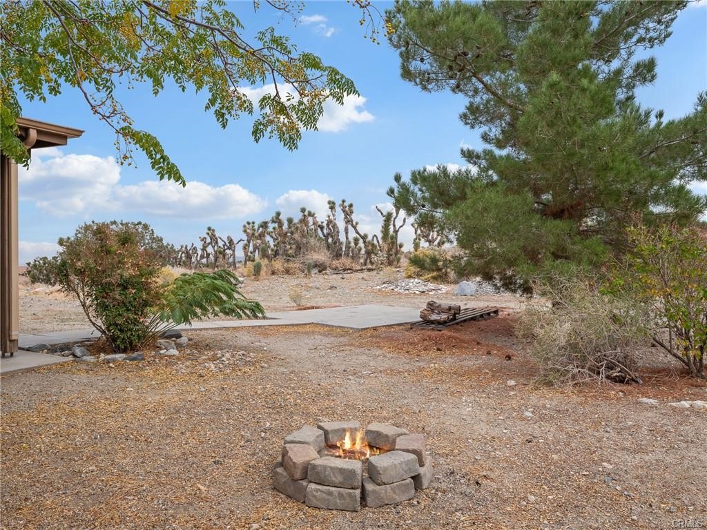 10160 Pineview Road Property Photo 33