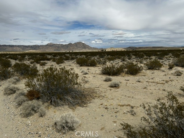 0 Green Rock Mine Road Property Photo 5