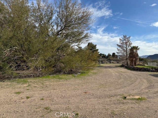 37152 Indian Avenue Property Photo 6