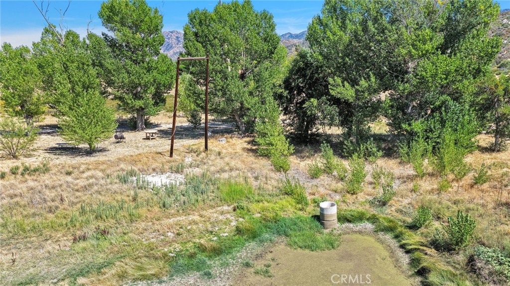 14777 State Highway 173 Property Photo 16