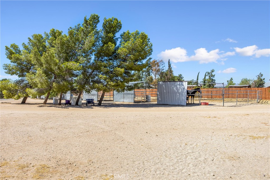 9650 Yucca Property Photo 4