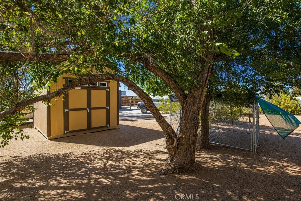 9650 Yucca Property Photo 46