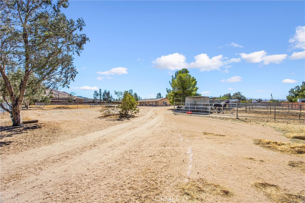 9650 Yucca Property Photo 51