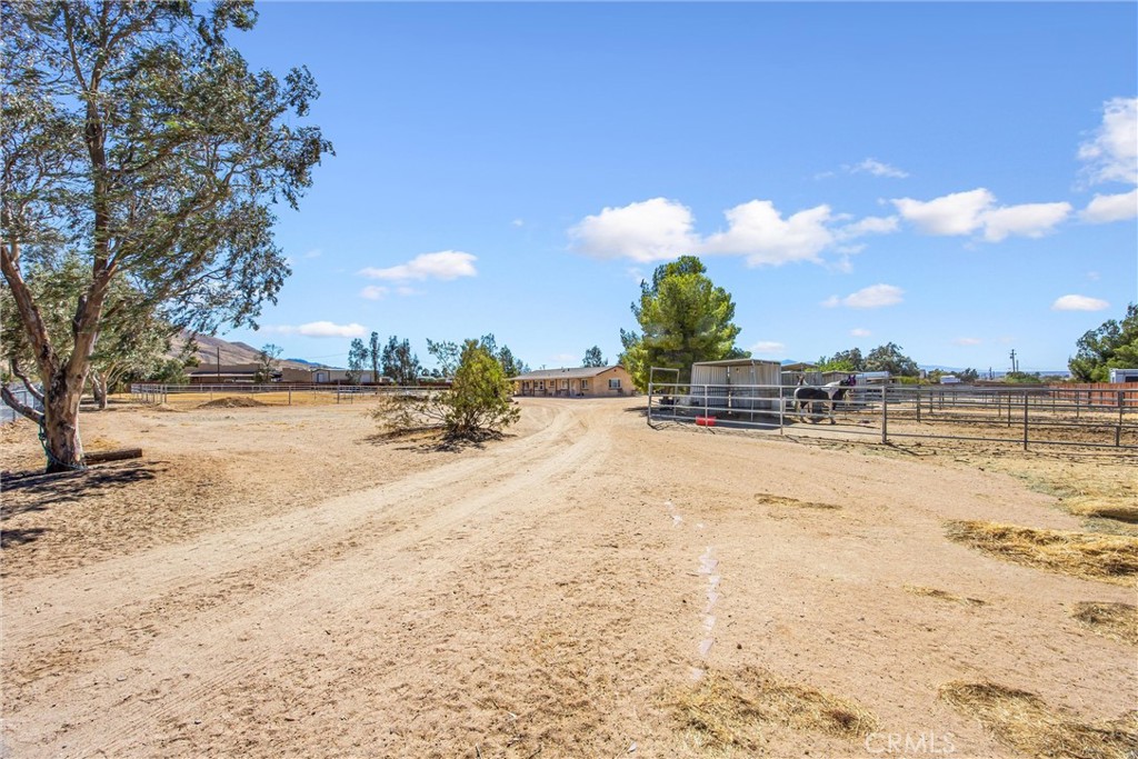 9650 Yucca Property Photo 51