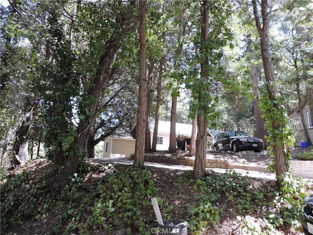657 Knoll Property Photo 46