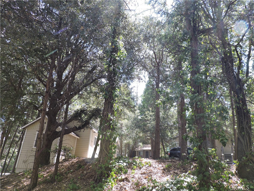 657 Knoll Property Photo 47