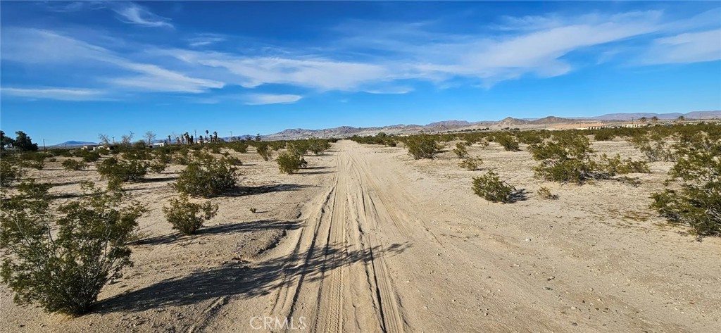800 Desert Queen Property Photo 2