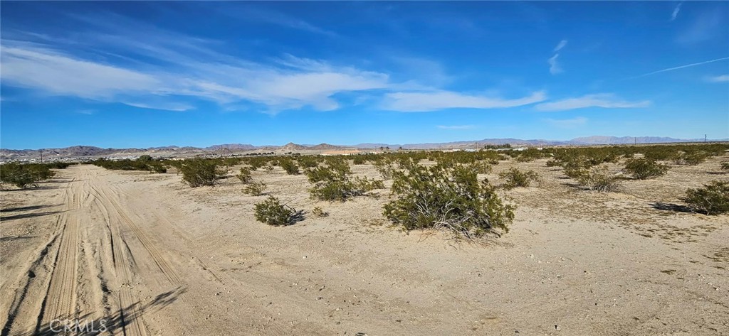 800 Desert Queen Property Photo 3
