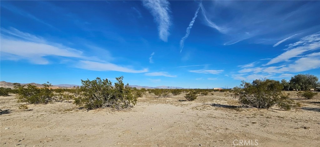 800 Desert Queen Property Photo 4