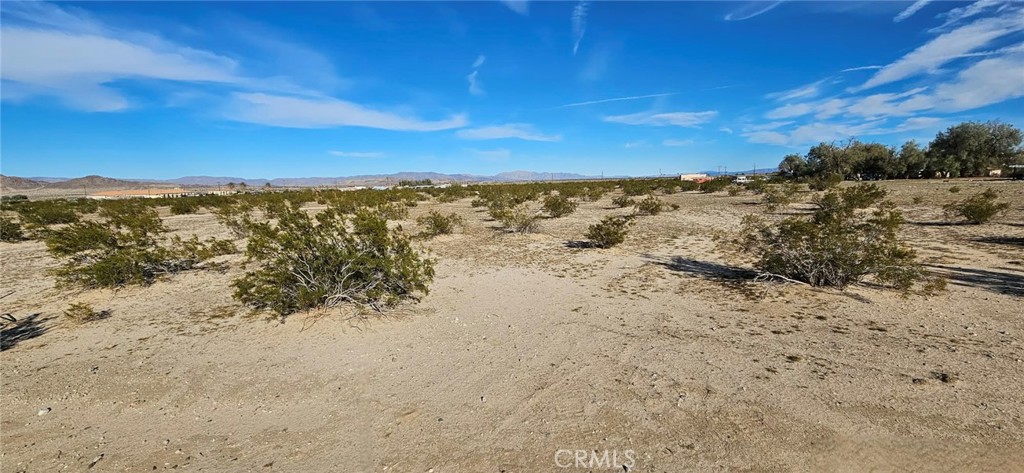 800 Desert Queen Property Photo 5