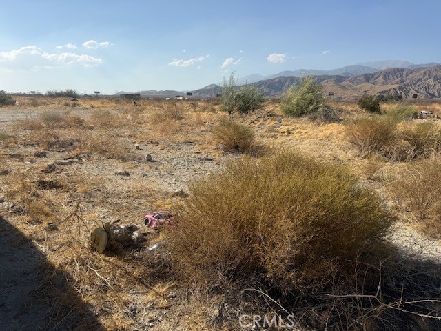 1 Heather Property Photo 4