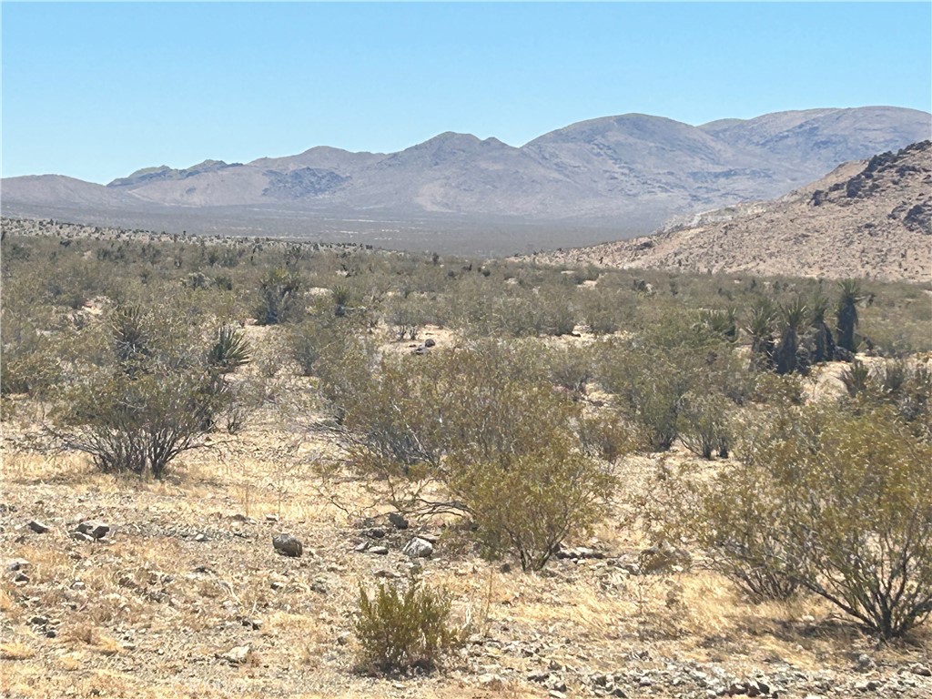 0 Willow Springs Property Photo 2