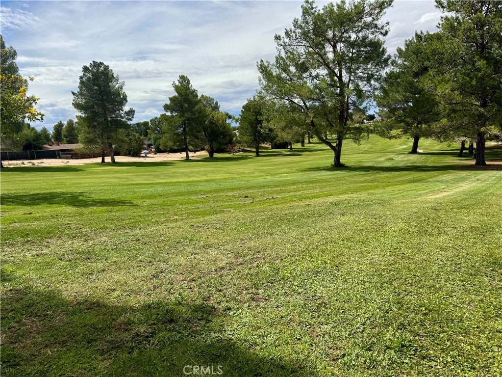13962 Riviera Property Photo 49