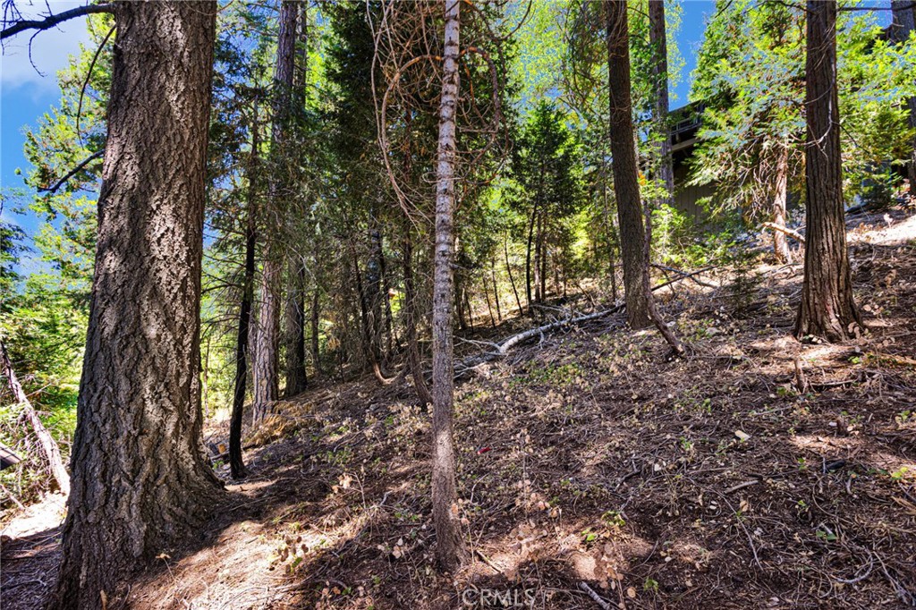 739 Lake Property Photo 39