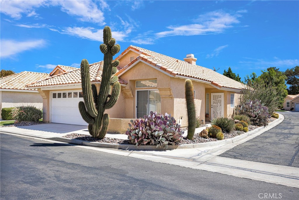 11545 Mountain Meadow Property Photo 3