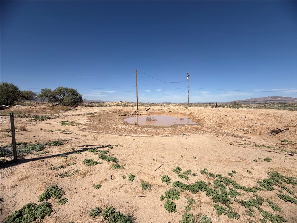33803 Suffoch Property Photo 3