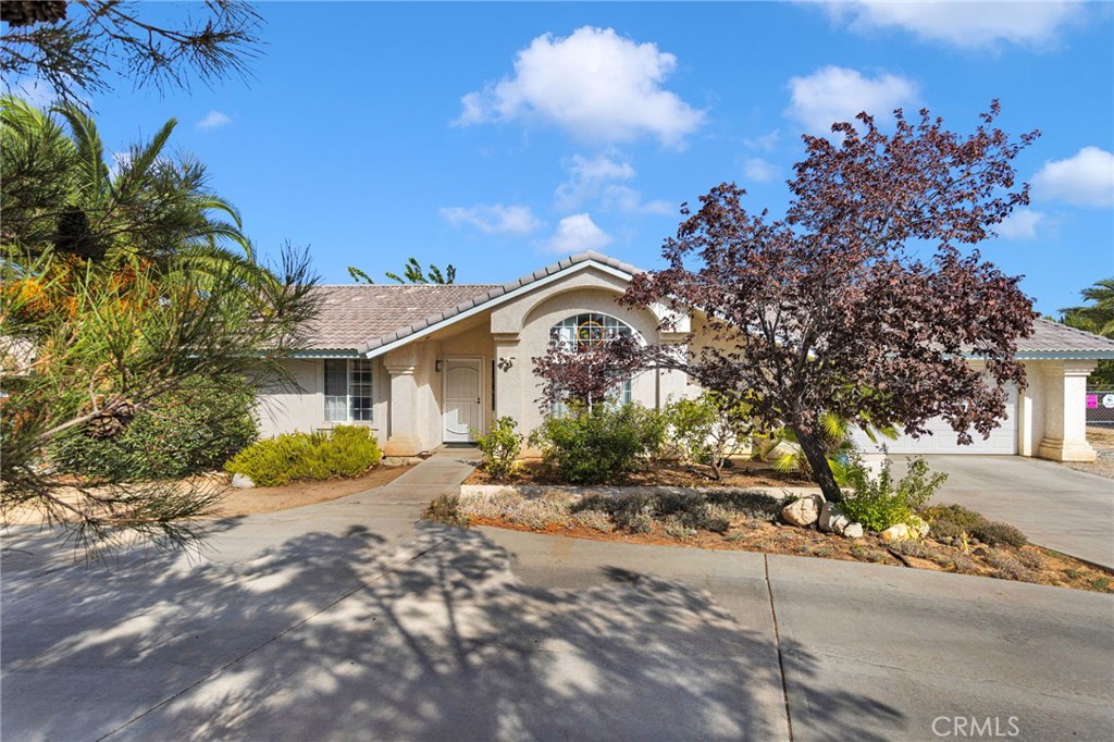 8951 Avocado Property Photo 4