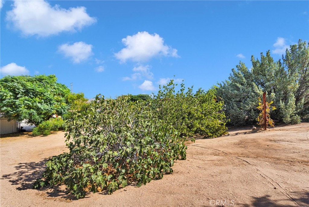 8951 Avocado Property Photo 45