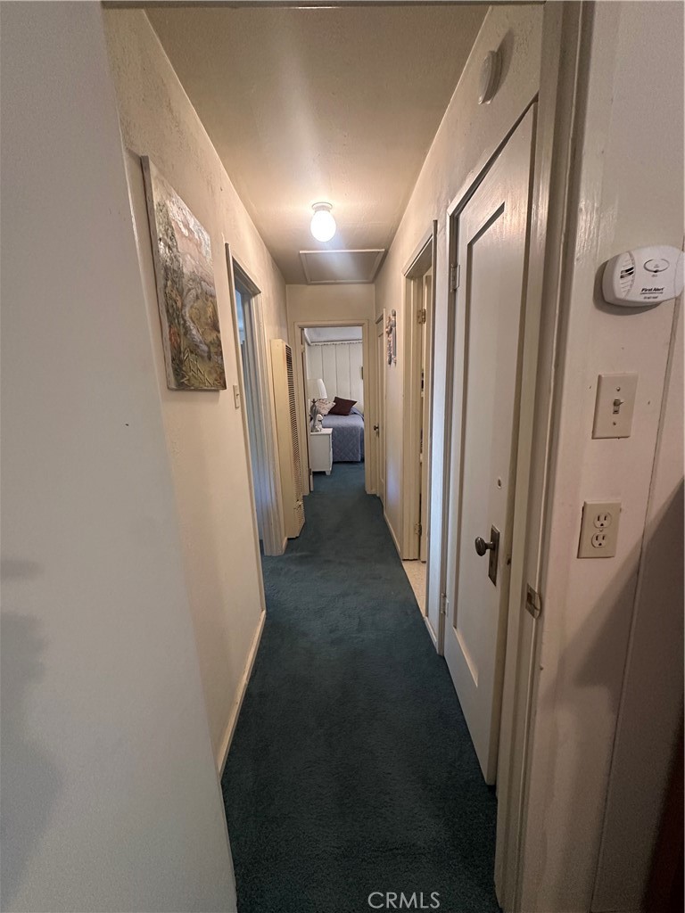 29145 Hook Creek Property Photo 15