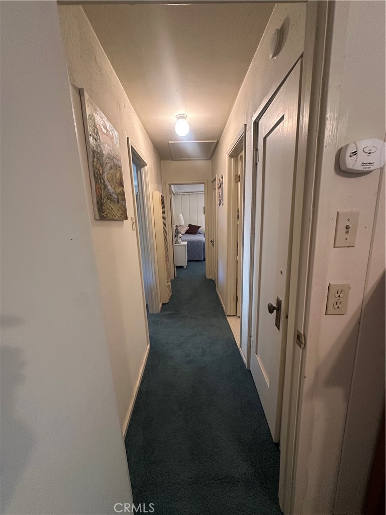 29145 Hook Creek Property Photo 15