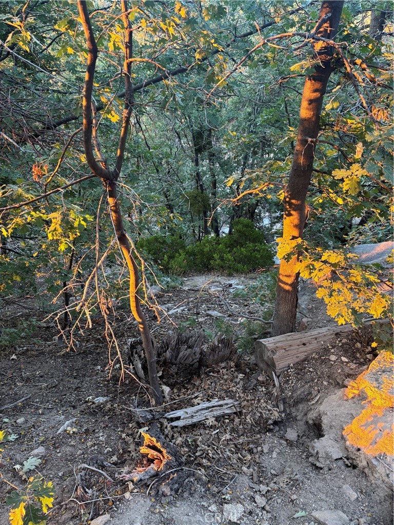 0 Acacia Property Photo 1