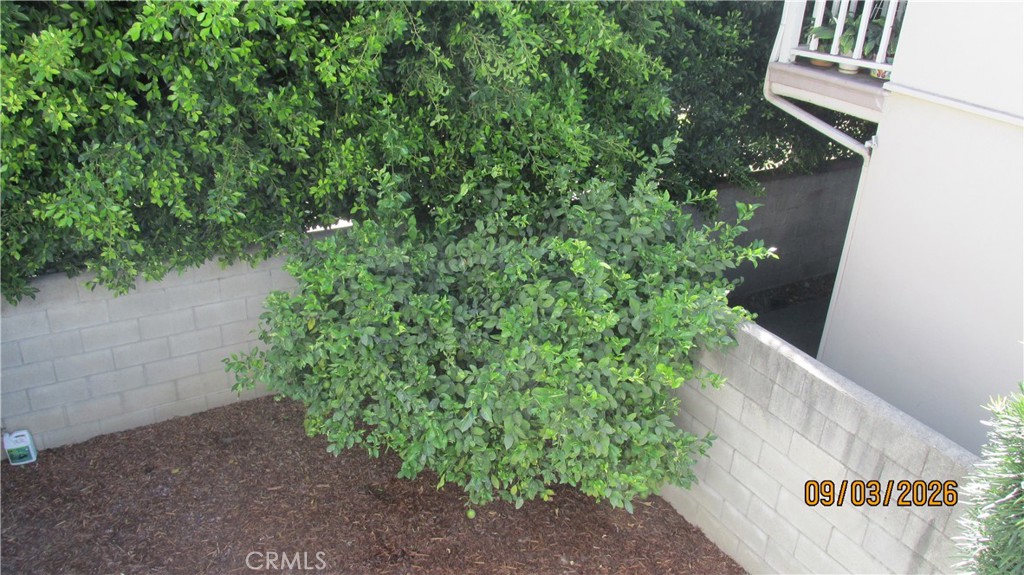 856 Fairview Property Photo 38