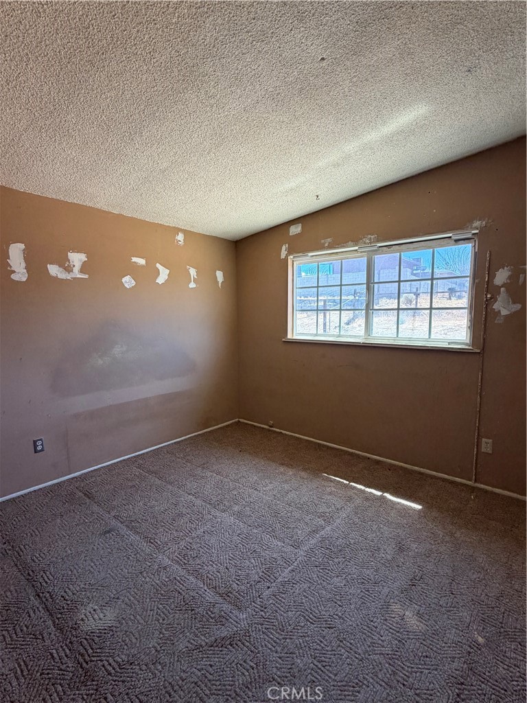 25515 Cheryle Property Photo 15
