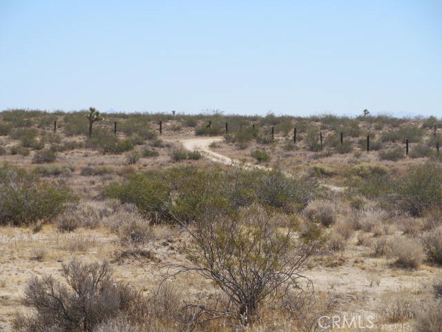 10 C Avenue Property Photo 15