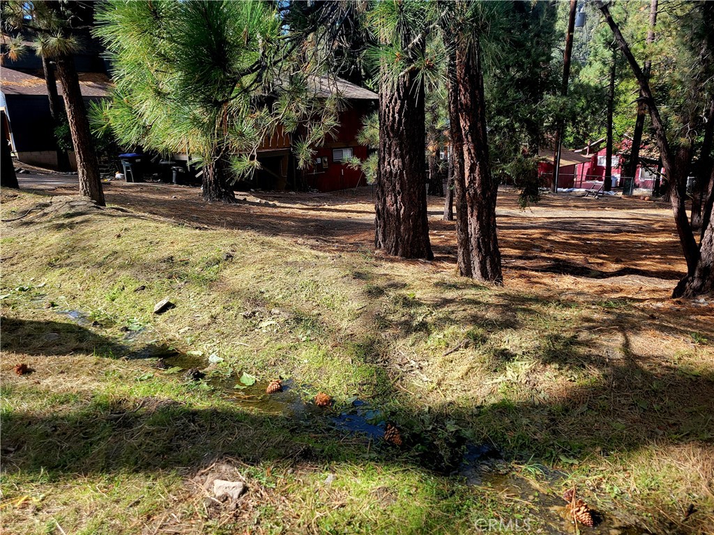 0 Laura Property Photo 1