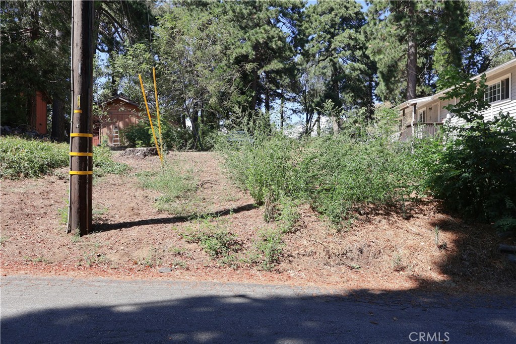 0 Valley View Drive Property Photo 1