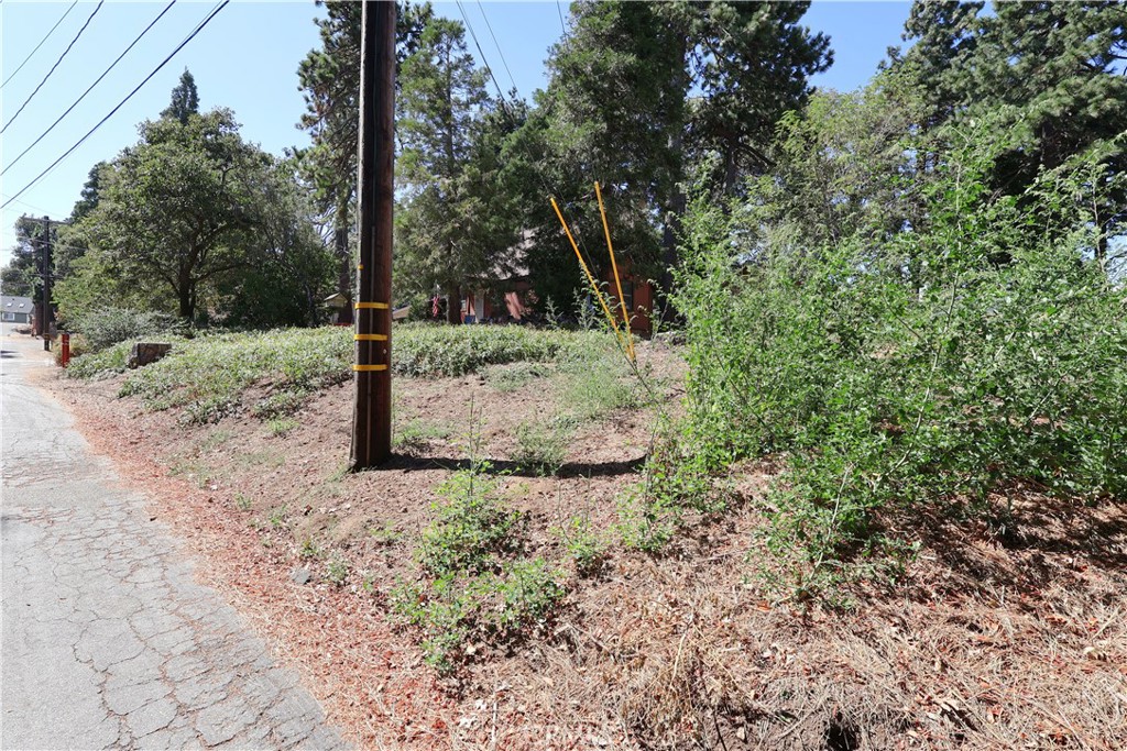 0 Valley View Drive Property Photo 2
