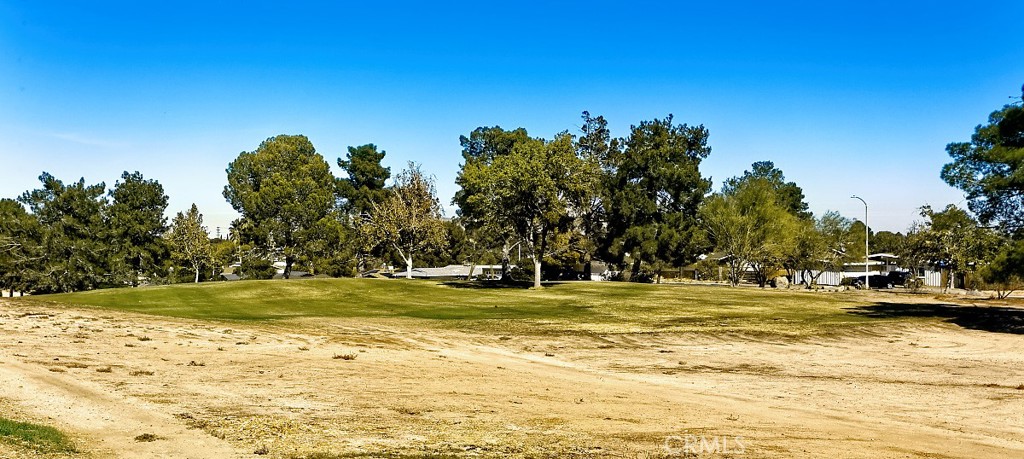 14035 Wimbleton Drive Property Photo 26